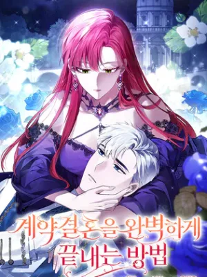 Cover image of How to Perfectly End a Contract Marriage