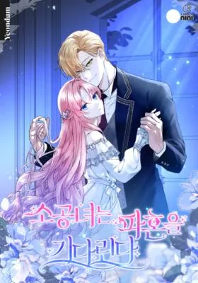 Cover image of The Little Princess Waits for the Breakup