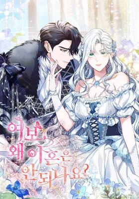 Cover image of Honey, Why Can’t We Get A Divorce?