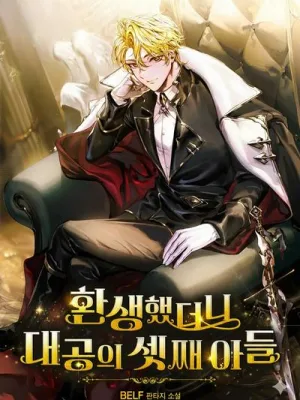 Cover image of A Mercenarys Rebirth Among Nobles