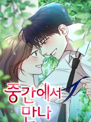 Cover image of Meet in The Middle