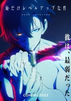 Cover image of Anime – Solo Leveling