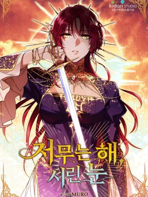 Cover image of Blinded by the Setting Sun