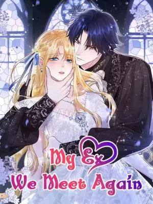 Cover image of My Ex, We Meet Again