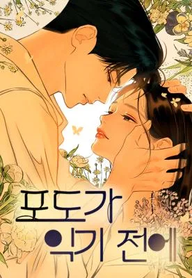 Cover image of Before the Grapes Ripen