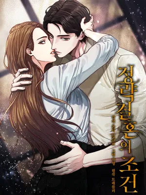 Cover image of Conditions For A Political Marriage