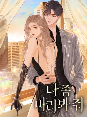 Cover image of The Stunner